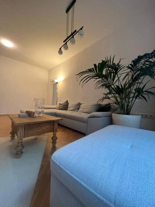 Ganzes Haus In Der Altstadt, Ideal Fuer 2 Personen, 4 Gaeste Moeglich 쿼켄브루크 외부 사진